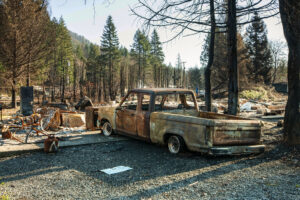 image of a car that has been burned  surrounded by tree that have been burned from fire