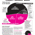 thumbnail image of 2019 pie chart - click to go to WRL website and download complete file